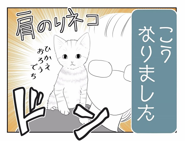 保護猫