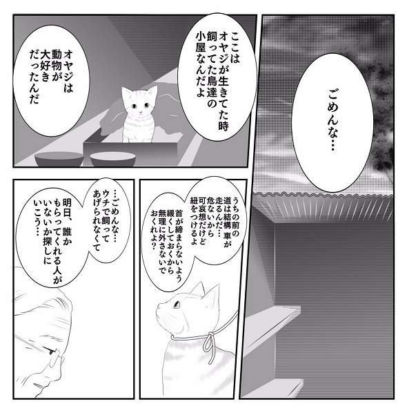 保護猫