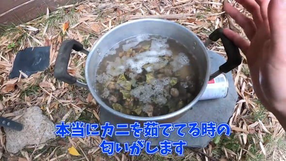 カメノテ 爆弾岩 見た目 甲殻類 茹でる 食べる 料理 カニ クリームパスタ