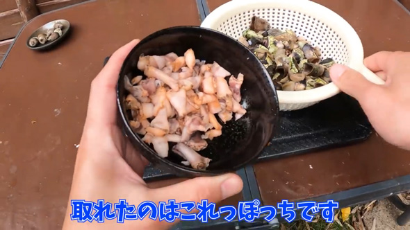 カメノテ 爆弾岩 見た目 甲殻類 茹でる 食べる 料理 カニ クリームパスタ