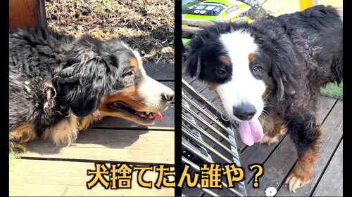 サムネ