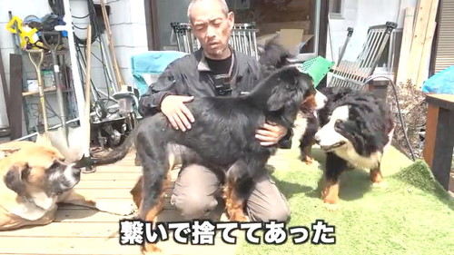 つないで捨ててあった