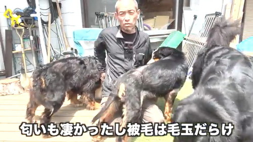 毛玉だらけ