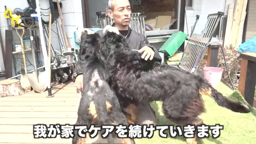 ケアします