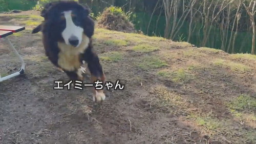 エイミー