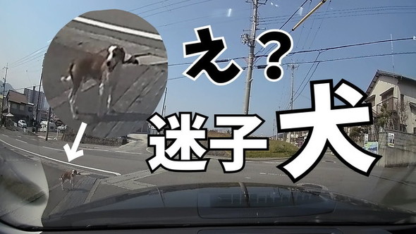 サムネ