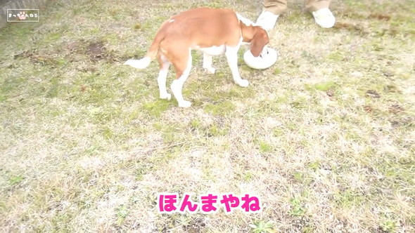 水