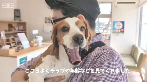 動物病院