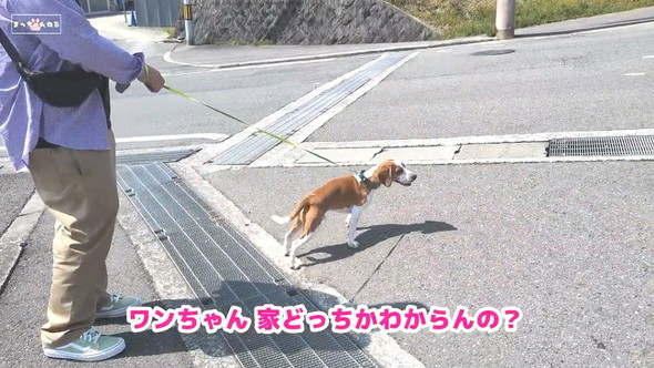どっち