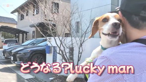 ラッキーman