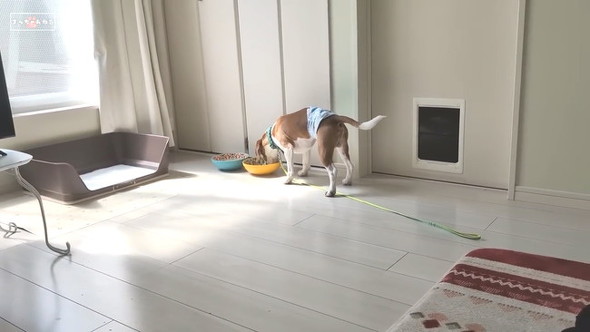 部屋