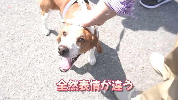 表情違う