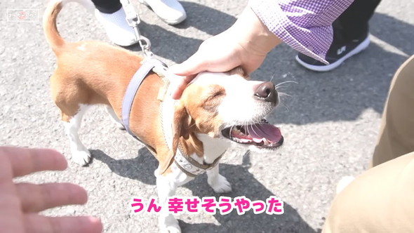 にこり