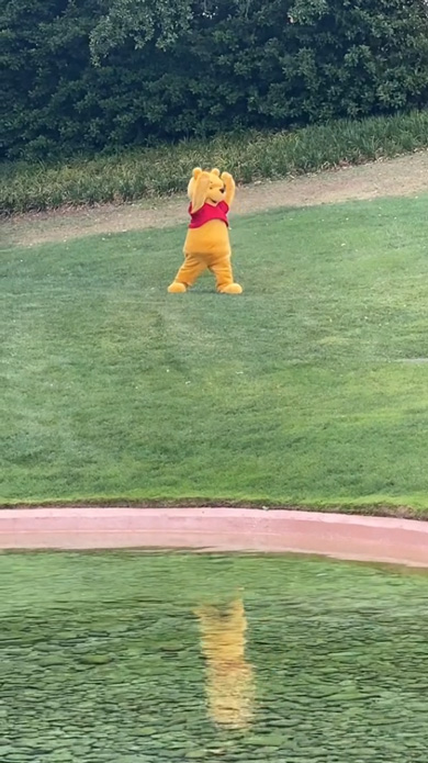 フロリダ ディズニー 野生 プーさん ヨガ ポーズ 自由 ウォルト・ディズニー・ワールド