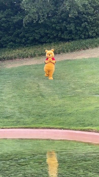 フロリダ ディズニー 野生 プーさん ヨガ ポーズ 自由 ウォルト・ディズニー・ワールド