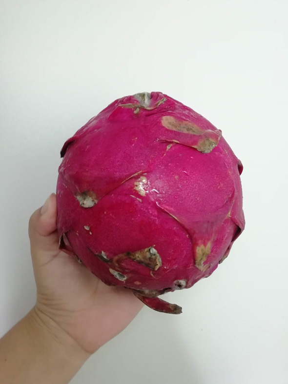 ドラゴンフルーツ 切るとき 白い服 色 落ちない 赤い色素 果汁