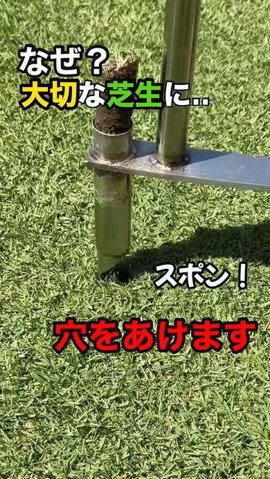 芝生に穴を空けるお手入れ術の紹介