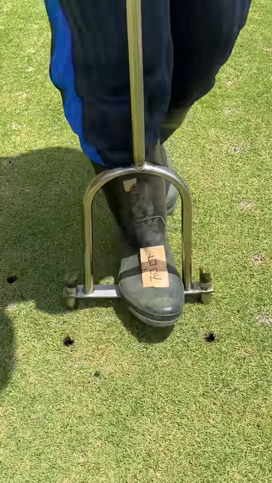 芝生に穴を空けるお手入れ術の紹介