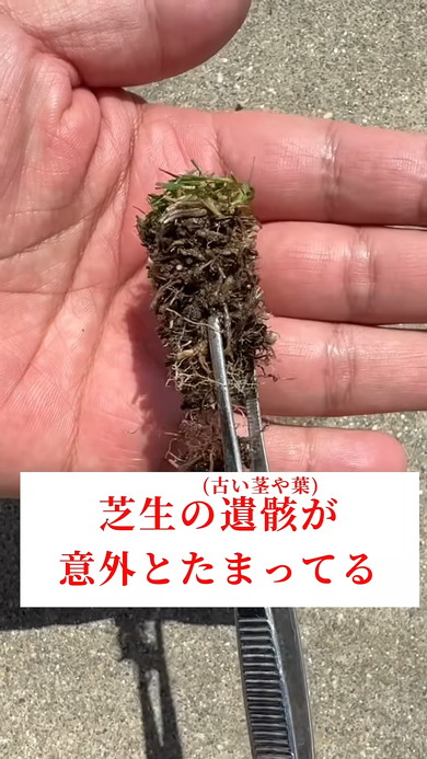 芝生に穴を空けるお手入れ術の紹介