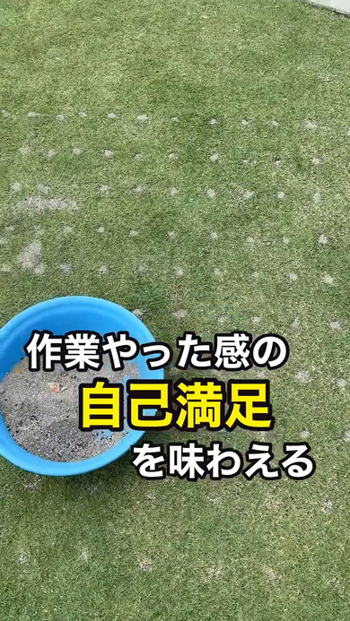 芝生に穴を空けるお手入れ術の紹介