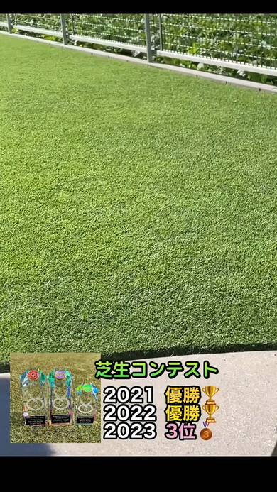 芝生に穴を空けるお手入れ術の紹介