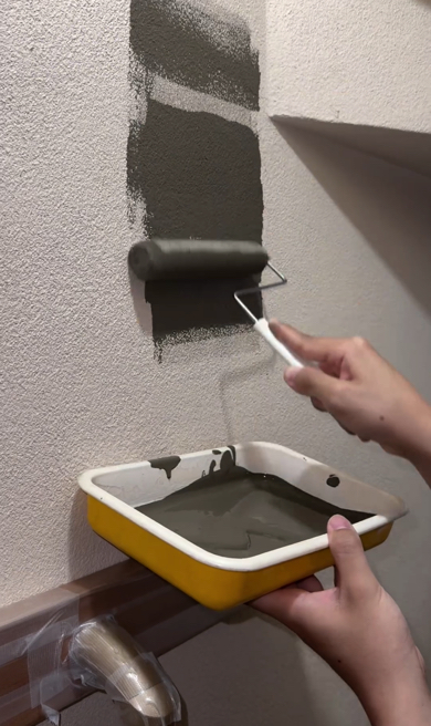 フリーコートを壁に塗ります