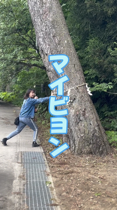 津軽弁での会話