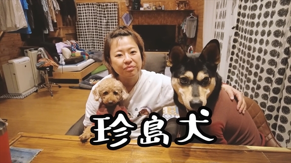 DNA検査で愛犬の祖先を探る