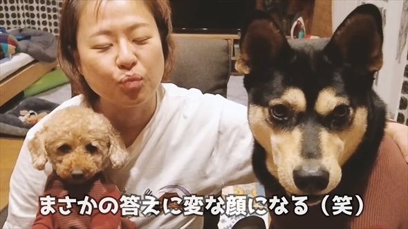 DNA検査で愛犬の祖先を探る