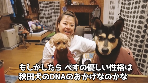 DNA検査で愛犬の祖先を探る