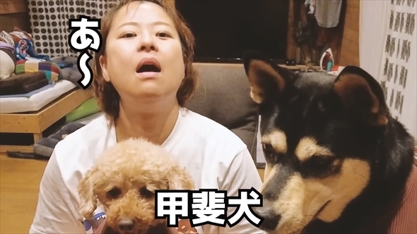 DNA検査で愛犬の祖先を探る