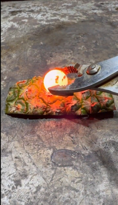 パイナップルの皮に1000度の鉄球を置く実験