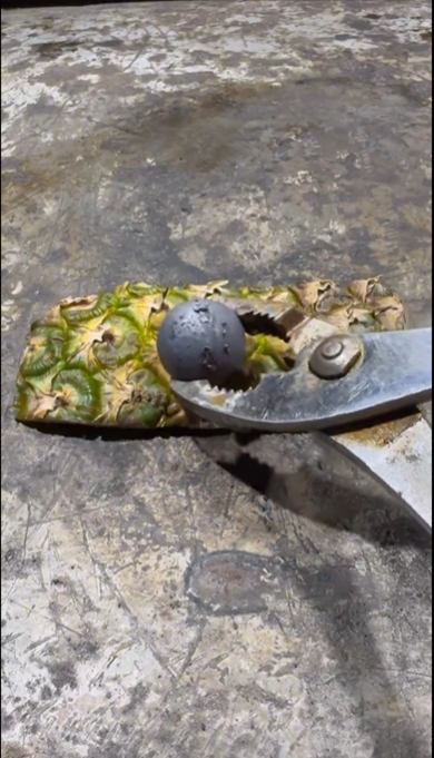 パイナップルの皮に1000度の鉄球を置く実験