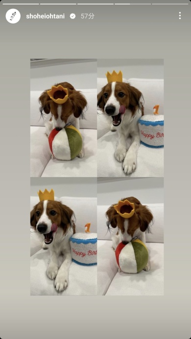 デコピンの1歳を祝う大谷選手のストーリー