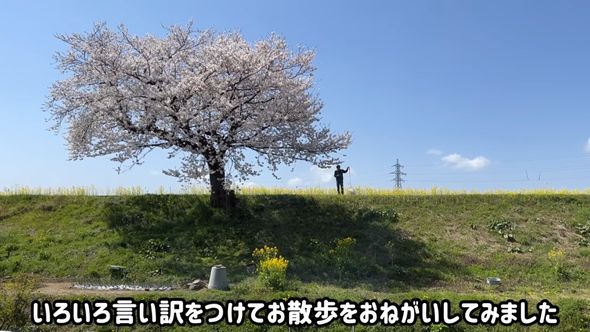 投稿者のお願いを聞いて犬の散歩をする犬嫌いな祖父