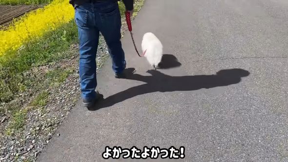 仲良く散歩する祖父とポテチ