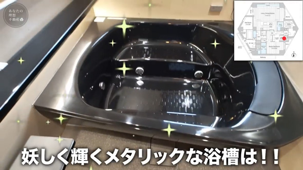 家賃160万円 変な間取り 表参道 豪邸 高級 物件 内見