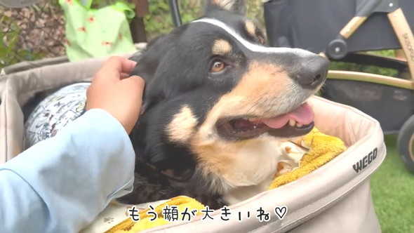 顔が大きい