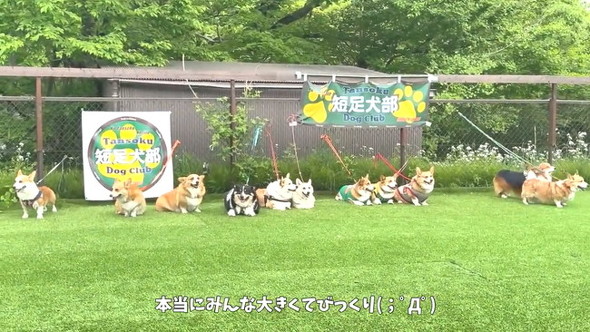 大きいコンテスト