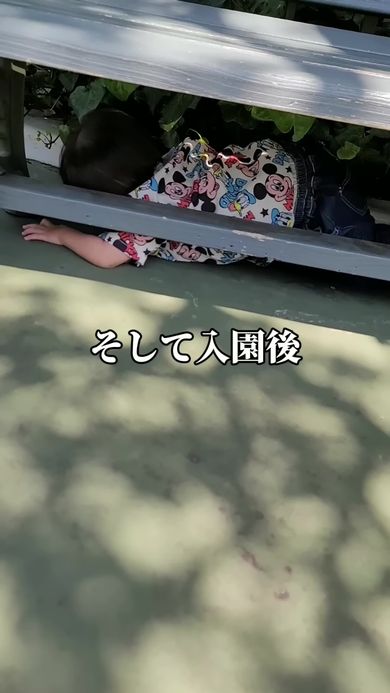 ディズニーに入園してもアリに夢中な2歳の男の子