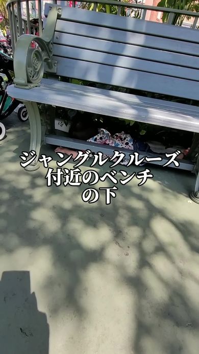 ディズニーに入園してもアリに夢中な2歳の男の子