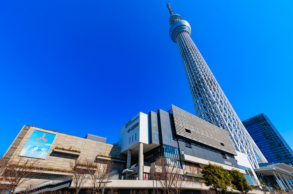 スカイツリー