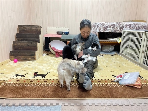 新玉旅館　猫ハウスクラファン