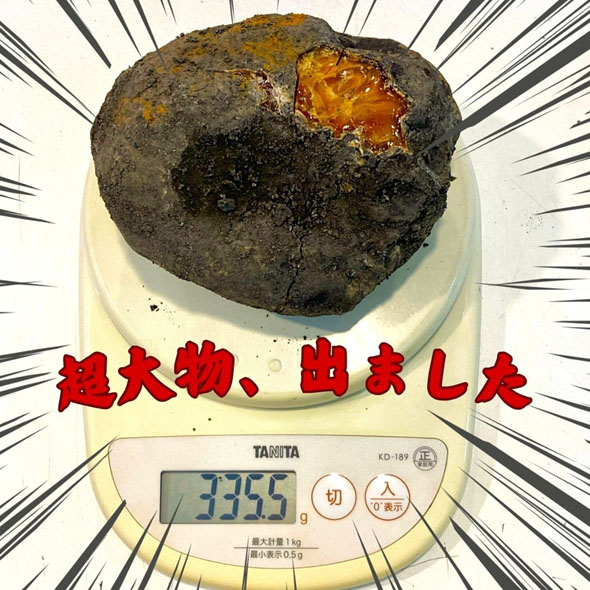 琥珀