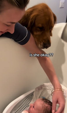 赤ちゃんを見守るワンコ