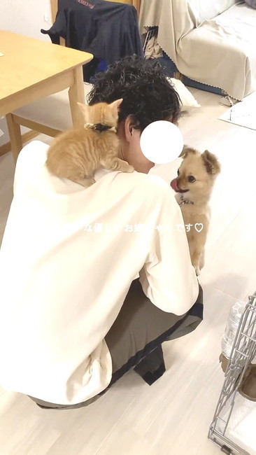 パパ越しの再会