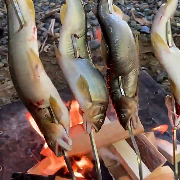 川原でアユを焼いているところ