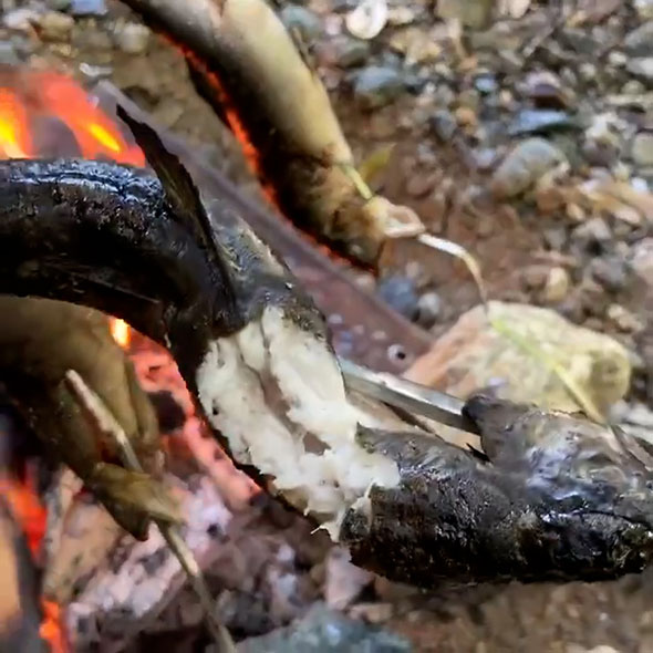 川原で焼いたアユ