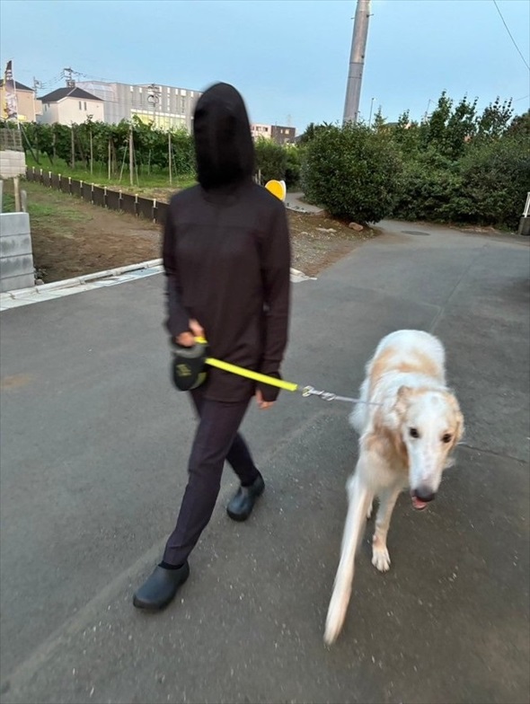 夏の犬の散歩、飼い主の日焼け対策