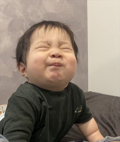 子どもにそっくりな“すっぱい顔”のイラスト